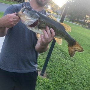 Meet your Posher, Eric